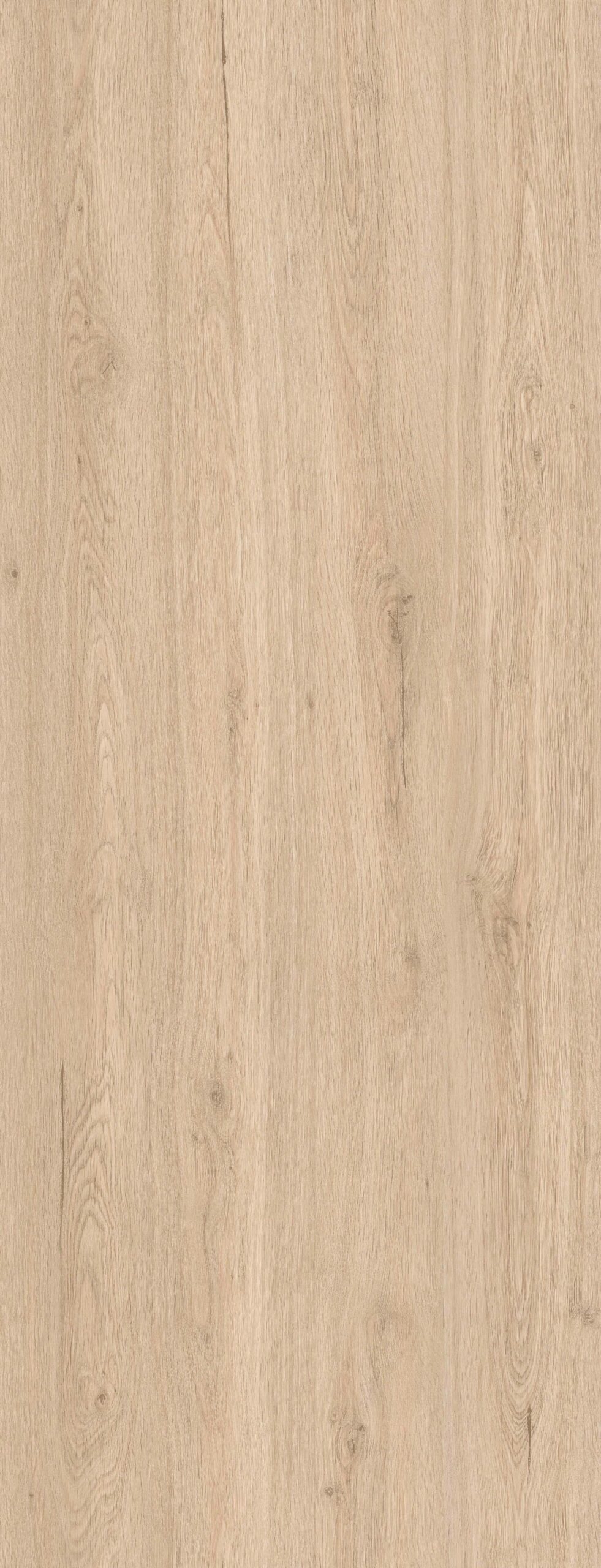 Rovere 19 - Legnopan